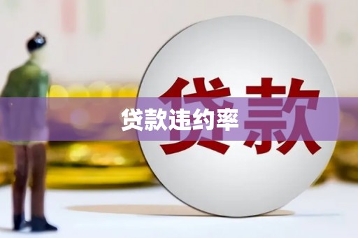 内乡贷款违约率