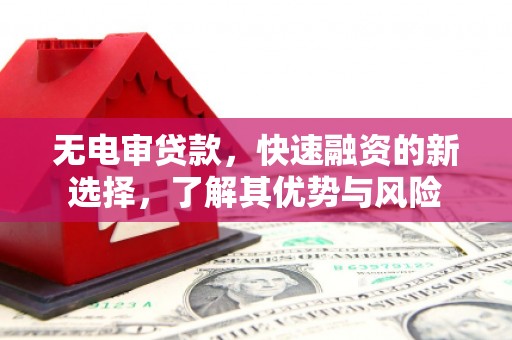 内乡无电审贷款，快速融资的新选择，了解其优势与风险