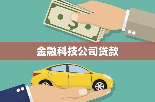 内乡金融科技公司贷款