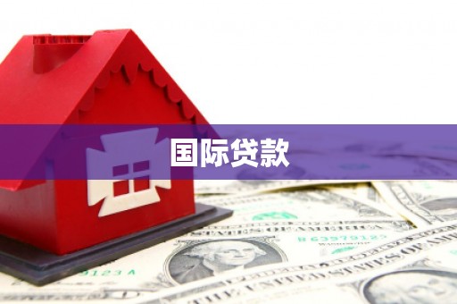 内乡国际贷款