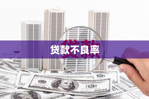 内乡贷款不良率