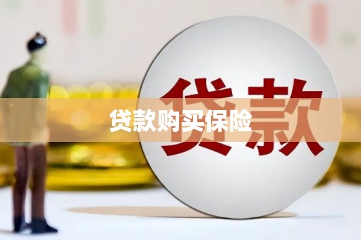 内乡贷款购买保险