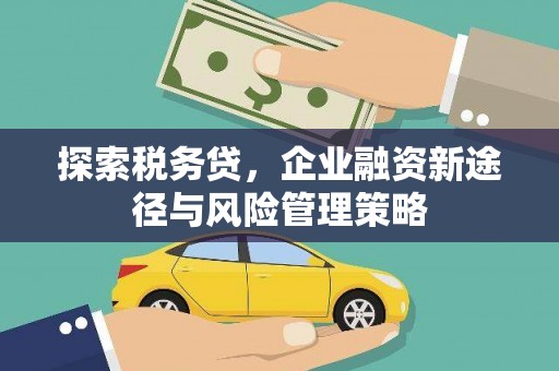 内乡探索税务贷，企业融资新途径与风险管理策略