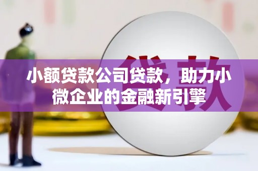 内乡小额贷款公司贷款，助力小微企业的金融新引擎