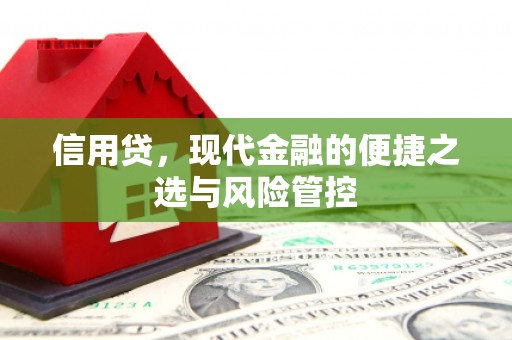 内乡信用贷，现代金融的便捷之选与风险管控