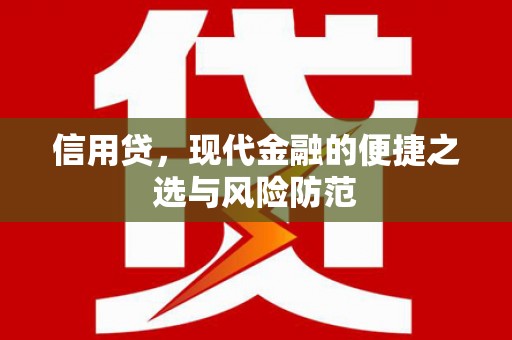 内乡信用贷，现代金融的便捷之选与风险防范