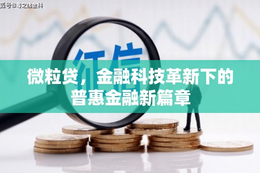 内乡微粒贷，金融科技革新下的普惠金融新篇章