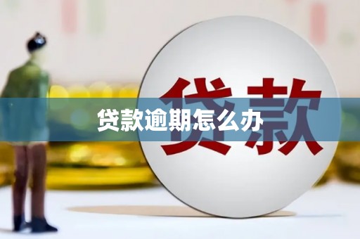 内乡贷款逾期怎么办