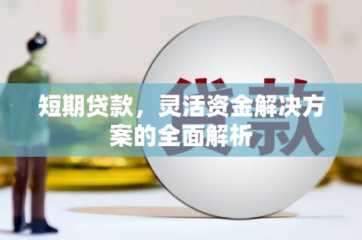 内乡短期贷款，灵活资金解决方案的全面解析