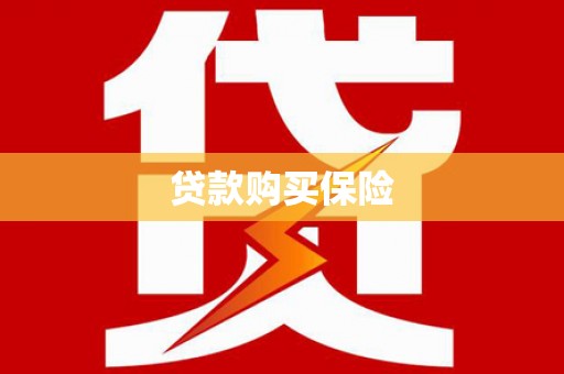 内乡贷款购买保险