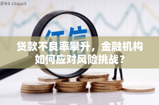 内乡贷款不良率攀升，金融机构如何应对风险挑战？
