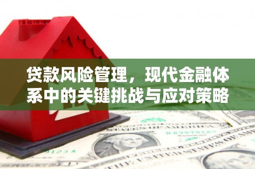 内乡贷款风险管理，现代金融体系中的关键挑战与应对策略