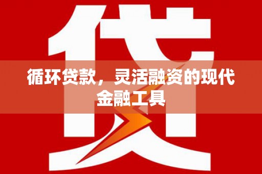 内乡循环贷款，灵活融资的现代金融工具