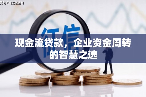 内乡现金流贷款，企业资金周转的智慧之选