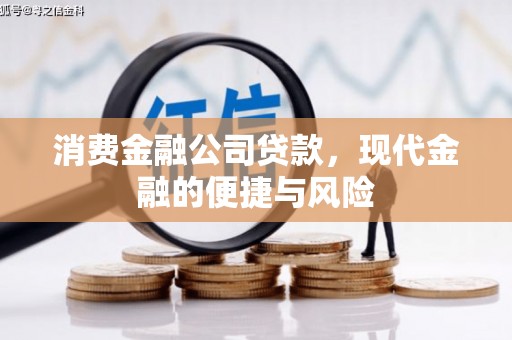 内乡消费金融公司贷款，现代金融的便捷与风险
