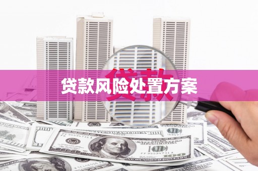 内乡贷款风险处置方案