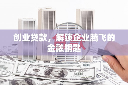 内乡创业贷款，解锁企业腾飞的金融钥匙