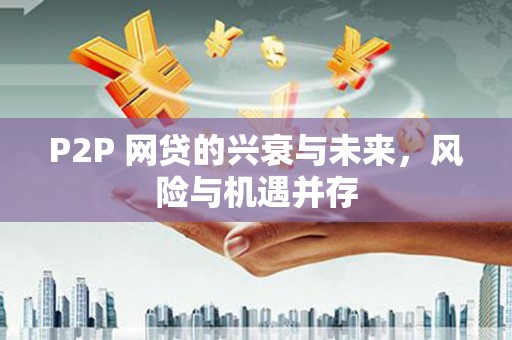 内乡P2P 网贷的兴衰与未来，风险与机遇并存