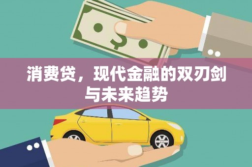 内乡消费贷，现代金融的双刃剑与未来趋势