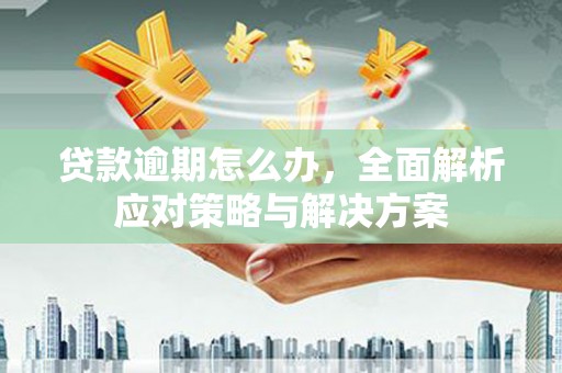 内乡贷款逾期怎么办，全面解析应对策略与解决方案